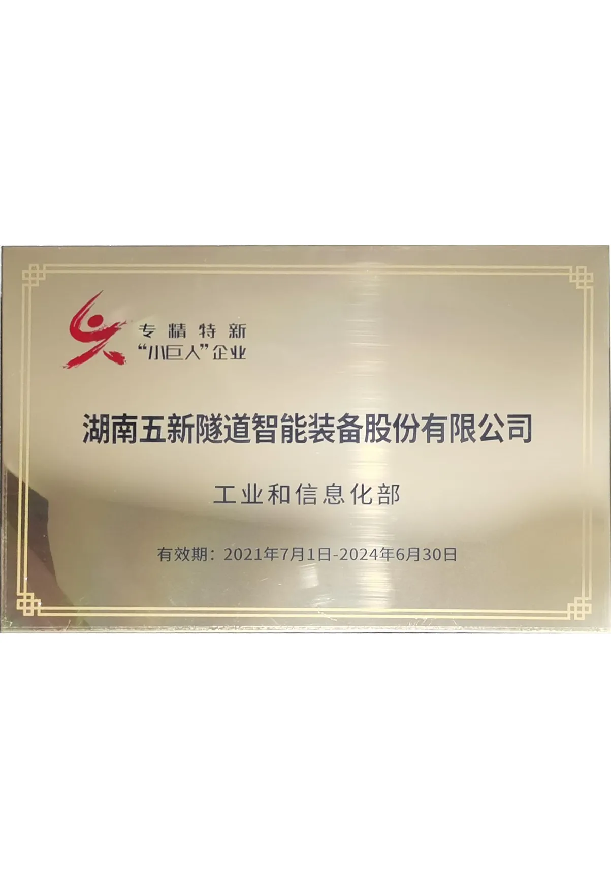 国家级专精特新“小巨人”企业